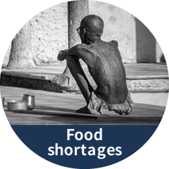 Food shortages